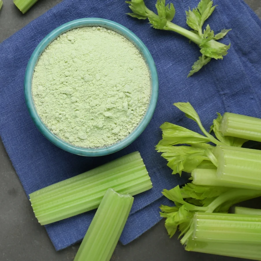 celery stalks and powder on a blue towel, used as ingredients in beverages and manufacturing