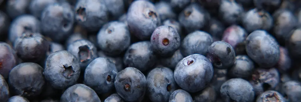 bunch of blueberries that are sitting together as ingredients for beverages or manufacturing