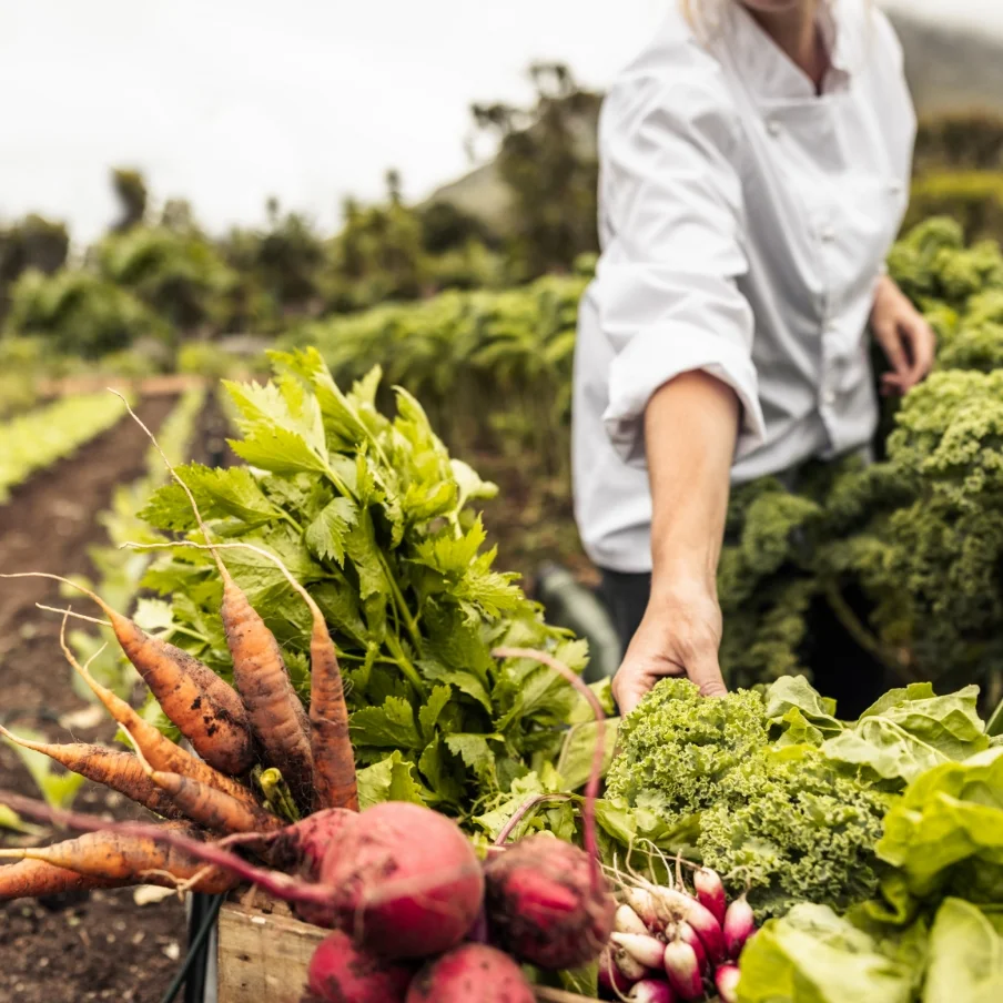 woman in a white shirt surrounded by vegetables and ingredients