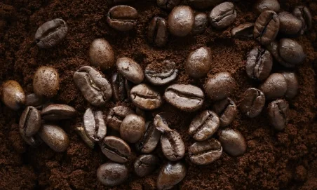 Conventional Extracts