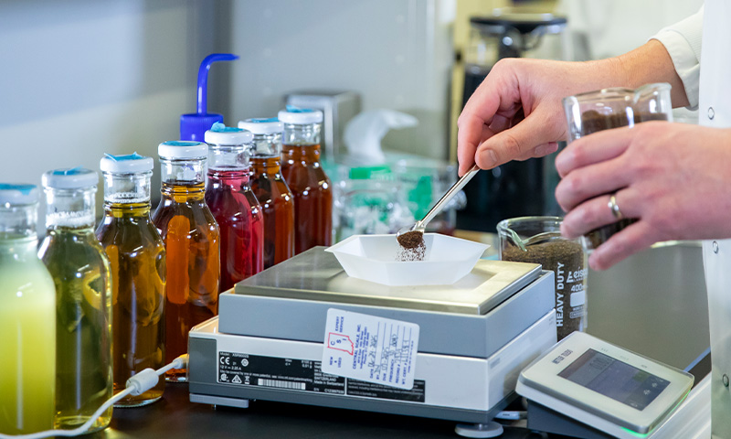 Flavor System and Beverage System Development