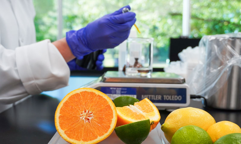 Vibrant flavor scientist at work