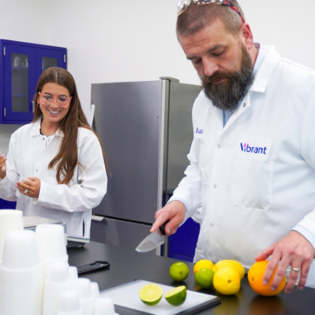 Vibrant Ingredients researchers working in the laboratory